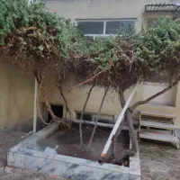 یک واحد منزل ویلایی|اجارهٔ خانه و ویلا|مشهد, مصلی (کارمندان اول)|دیوار