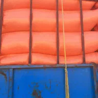 کاه گندم|لوازم جانبی حیوانات|ایلام, |دیوار