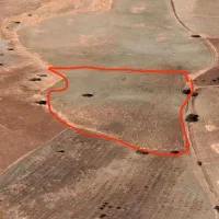 فروش یک هکتار زمین دیمی