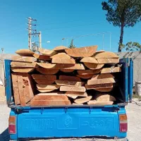 برش چوب. چوب بری. رام بری