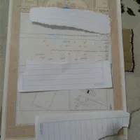 اجاره سند برای زندانی