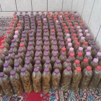 خیارشور|خوردنی و آشامیدنی|داراب, |دیوار