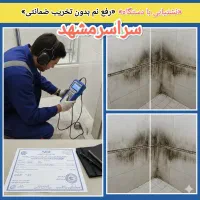 نشتیابی ورفع‌ قطعی نم، رطوبت و چکه (بدون‌ تخریب)