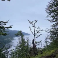 تور طبیعت گردی