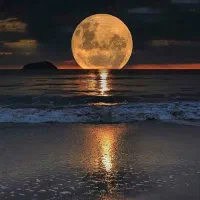 نظافت و خرید کردن گردوندن افراد درشهر  و...