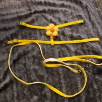 قلاده تنی سایز s و برس سیلیکونی ضدگره