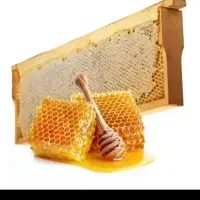 فروش ب قیمت مناسب عسل سبلان موم دار و بدون موم|خوردنی و آشامیدنی|محمدشهر, ولدآباد|دیوار