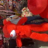 خرس ولنتاین