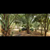 اجاره روزانه ویلا باغ استخر دار ایسین|اجارهٔ کوتاهمدت ویلا و باغ|بندرعباس, |دیوار