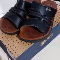 تعدادی کفش