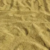 فروش فوری چلتوک