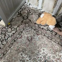 فرش ۱۲متری