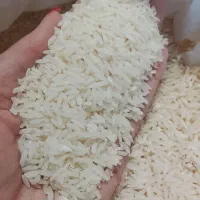هاشمی درجه یک