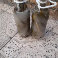 خیار شور|خوردنی و آشامیدنی|مشهد, کوی دروی|دیوار