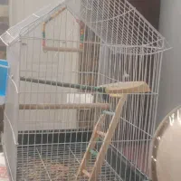 قفس بزرگ و سالم