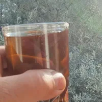 روغن زیتون خانگی