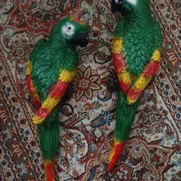 دیوارکوب پلی استر طرح طوطی