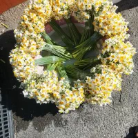 گل نرگس شاخه7500