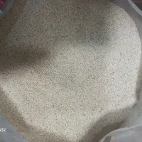 دانه خوراکی خشخاش