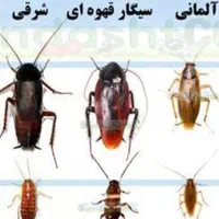 ** سم‌پاشی تخصصی با ضمانت سلامتی **