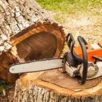 خرید وبرش چوب با اره برقی
