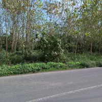 زمین روستایی 300 متری نبش آسفالت قابلیت ساخت|فروش زمین و ملک کلنگی|لنگرود, |دیوار