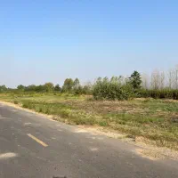 فروش ۶۰۰۰ متر ، لاهیجان ، ۱۵۰ متر بر جاده اصلی|فروش زمین و ملک کلنگی|لاهیجان, خالو باغ|دیوار
