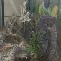 آکواریوم  بزرگ|ماهی|ملارد, |دیوار