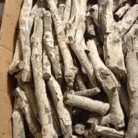 ذغال|عمده‌فروشی|زابل, |دیوار