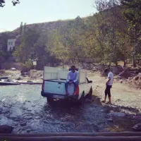وانت بار