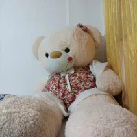 خرس برای دکور