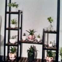 قوطی و رگال|فروشگاه و مغازه|بیرجند, |دیوار