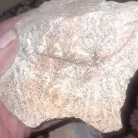 سنگ شجر طبیعی فروش کیلوی|کلکسیون اشیاء عتیقه|رزن, |دیوار