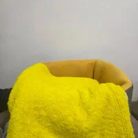 گربه نر میکس پرشین|گربه|تهران, نبی اکرم|دیوار