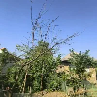 550-متر-زمین-120متر-ویلا