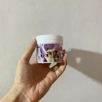 لوازم سگ|لوازم جانبی حیوانات|رشت, امین الضرب|دیوار