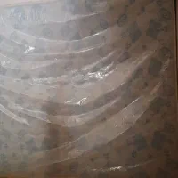 تشک دونفره