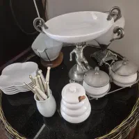 ظروف پذیرایی