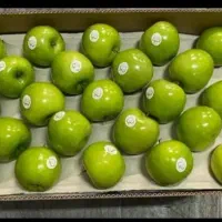 میوه مجلسی فصل استوایی مجالس تالارعروسی مراسم شانی