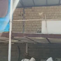 سگ پیدا شده