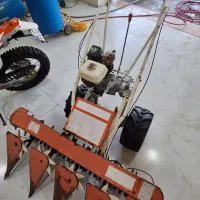 دروگر تارو برنج