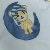 گلدوزی  شده