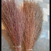 جارو