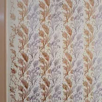 رنگ آمیزی ساختمان|خدمات پیشه و مهارت|زاهدان, |دیوار