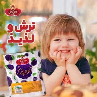 استخدام ویزیتور