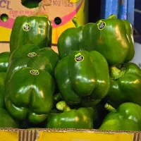 فروش عمده میوه تره بار قیمت کف بازار میدان مرکزی|خوردنی و آشامیدنی|تهران, خانی آباد نو جنوبی|دیوار