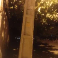 گندم رقم اکلید و کاسکوژن