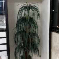 درختچه نخل مصنوعی بزرگ