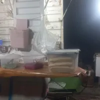 پیکان وانت بنزینی، مدل ۱۳۸۸