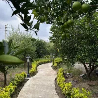 اجاره خونه باغ ناز|اجارهٔ کوتاه‌مدت ویلا و باغ|قائم‌شهر, |دیوار